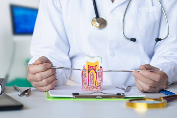 Best Emergency Care for Gum Disease in Bowie, MD